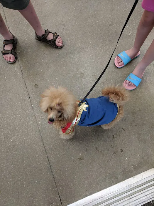 Vetco Vaccination Clinic Picture 2