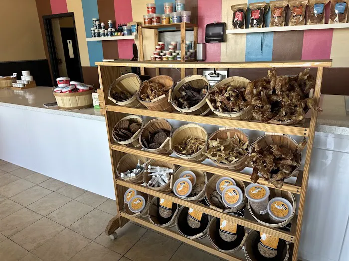 Jeffrey's Natural Pet Foods Bayview Pop Up Picture 3