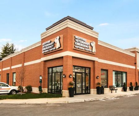 Westford Veterinary Emergency and Referral Center