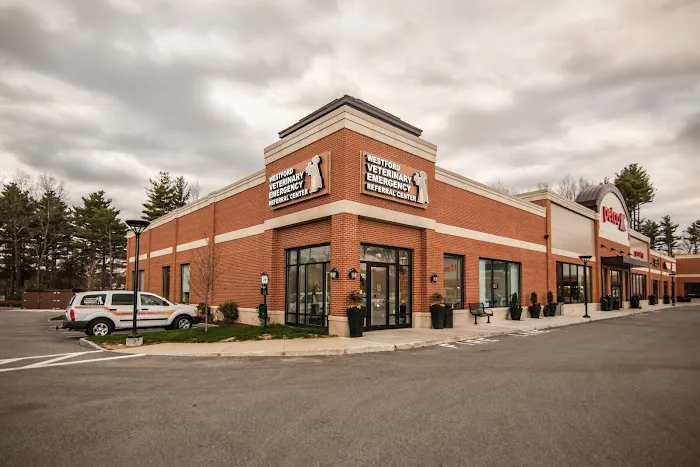 Westford Veterinary Emergency and Referral Center Picture 2
