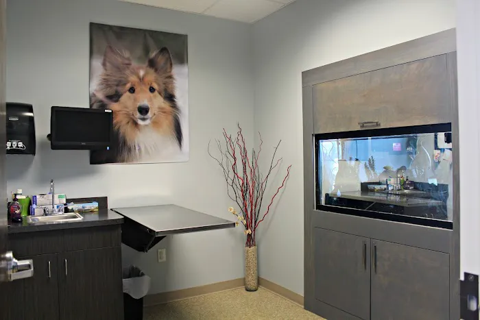 Westford Veterinary Emergency and Referral Center Picture 4
