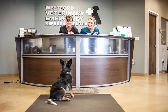 Westford Veterinary Emergency and Referral Center Picture 10