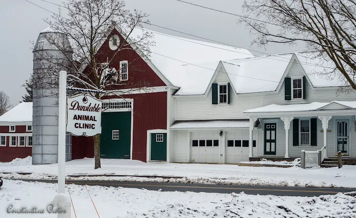 Dunstable Animal Clinic Picture 2