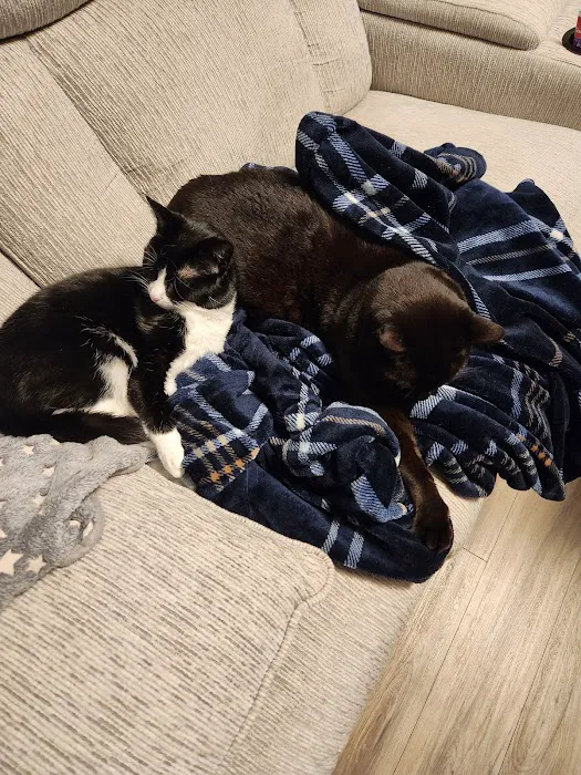 Dunstable Animal Clinic Picture 4