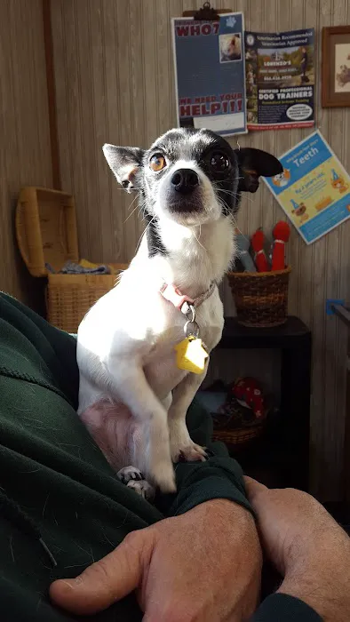 Dunstable Animal Clinic Picture 6