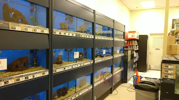 Petco Picture 10