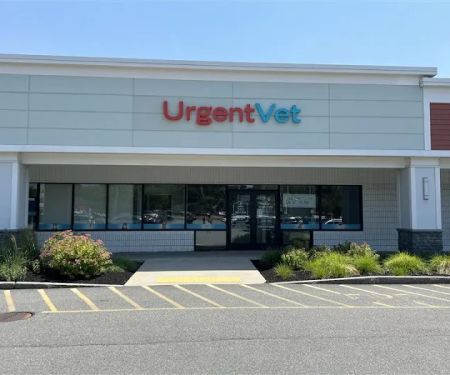 UrgentVet
