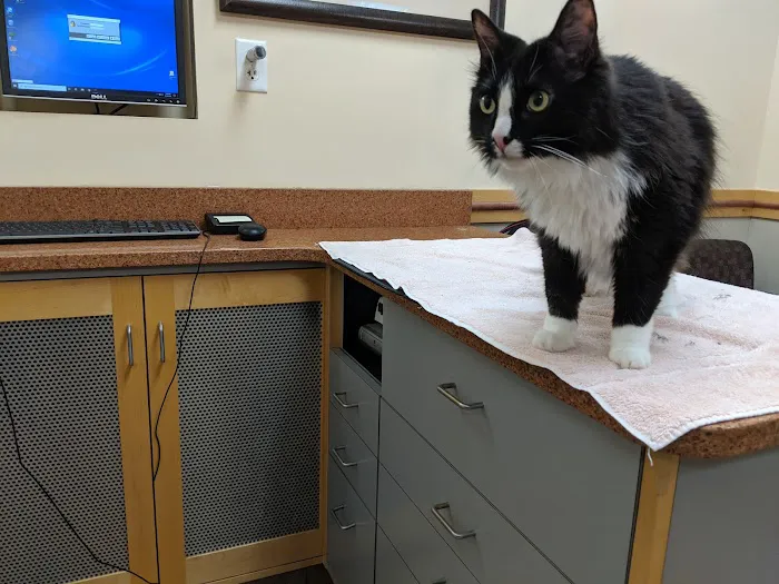 Countryside Veterinary Hospital Picture 2