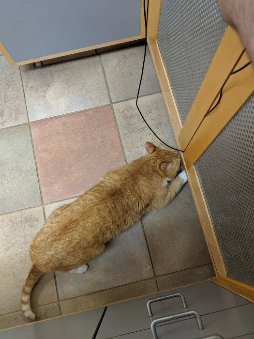 Countryside Veterinary Hospital Picture 5