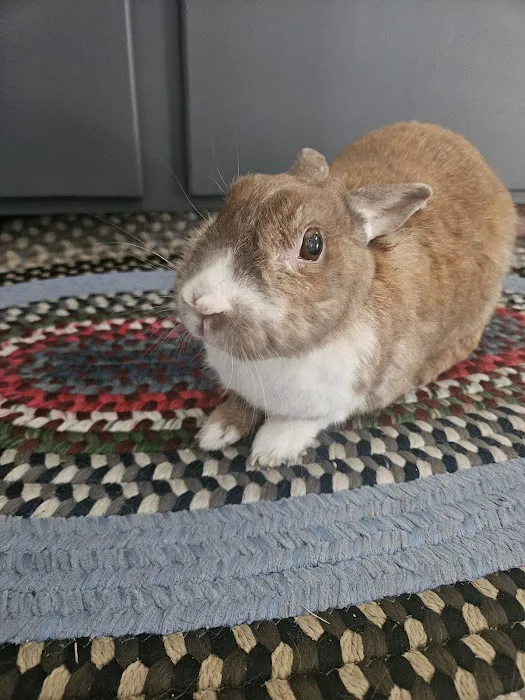 Countryside Veterinary Hospital Picture 10