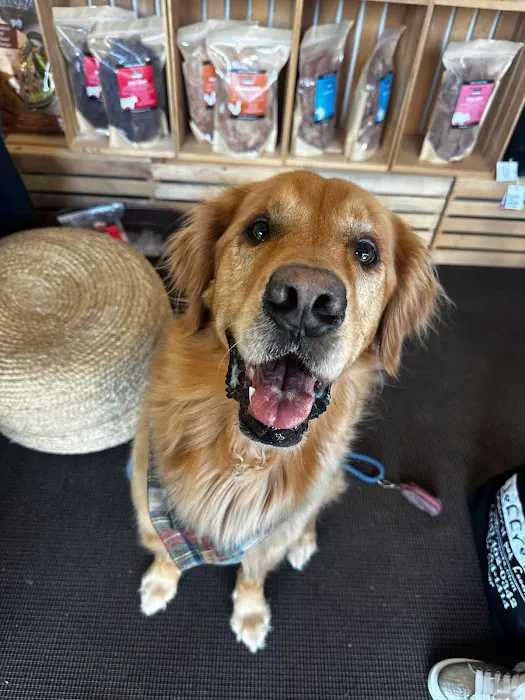 Jeffrey's Natural Pet Foods Castro Pop Up Picture 5