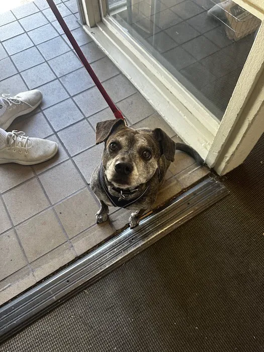 Jeffrey's Natural Pet Foods Castro Pop Up Picture 7