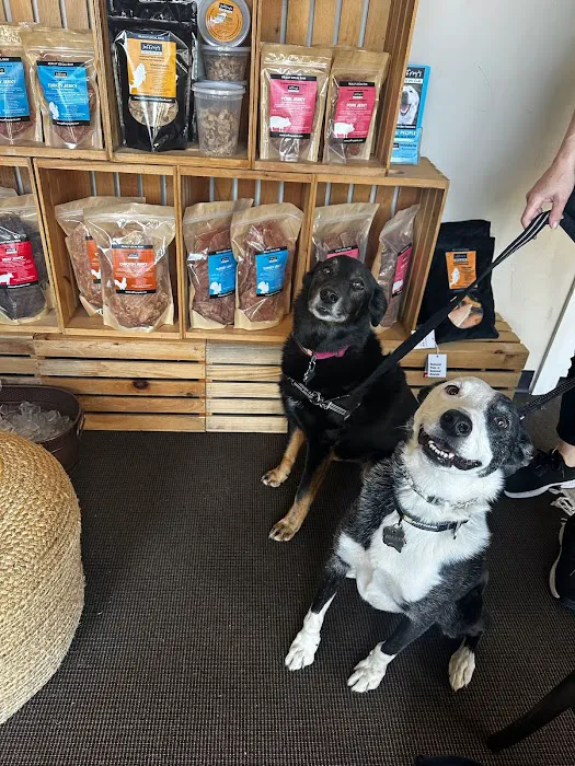 Jeffrey's Natural Pet Foods Castro Pop Up Picture 8