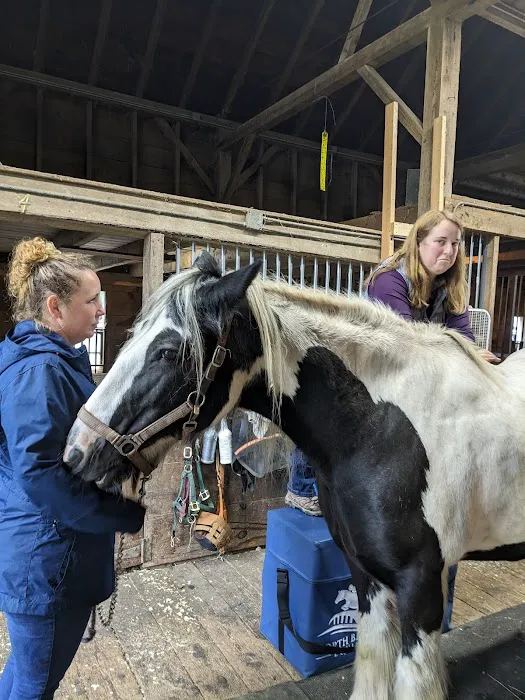 North Bridge Equine Associates Picture 1