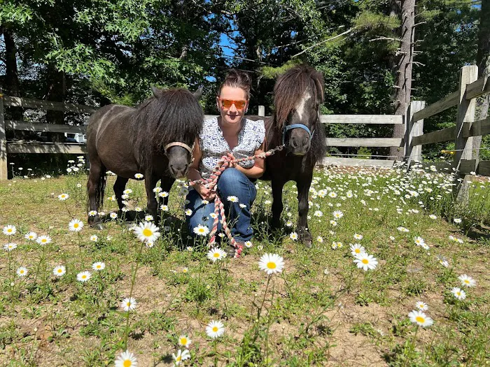 North Bridge Equine Associates Picture 5