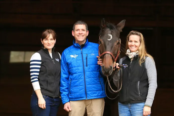 North Bridge Equine Associates Picture 10