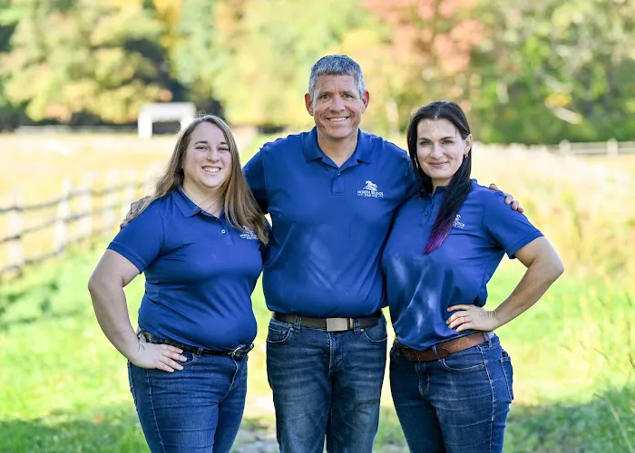 North Bridge Equine Associates Picture 9