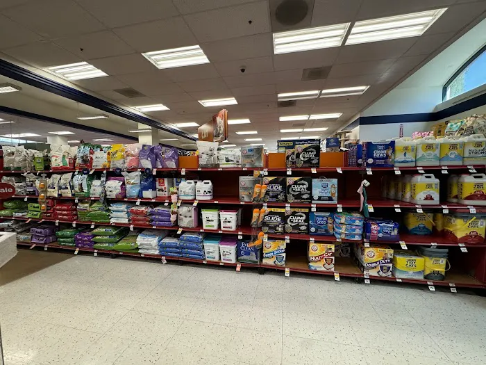 Petco Picture 1