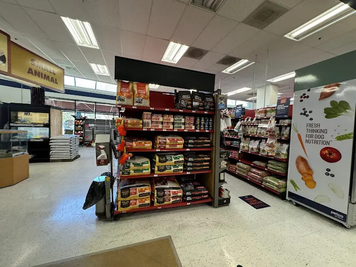 Petco Picture 6