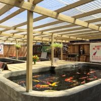East Bay Koi ico