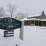 Hurley Veterinary Hospital
