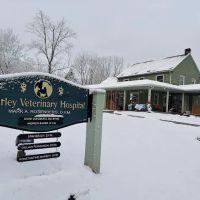 Hurley Veterinary Hospital ico