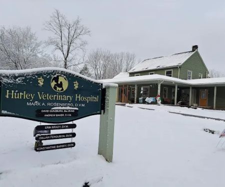 Hurley Veterinary Hospital