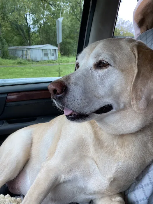 Hurley Veterinary Hospital Picture 4