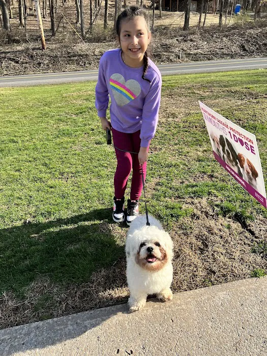 Hurley Veterinary Hospital Picture 6