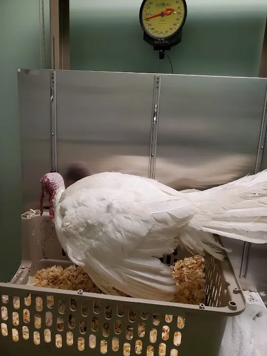 Hurley Veterinary Hospital Picture 5