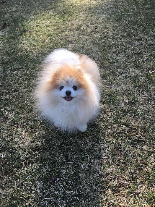 Hurley Veterinary Hospital Picture 7