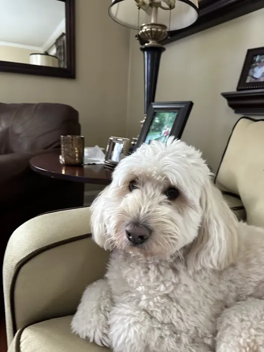 Hurley Veterinary Hospital Picture 8