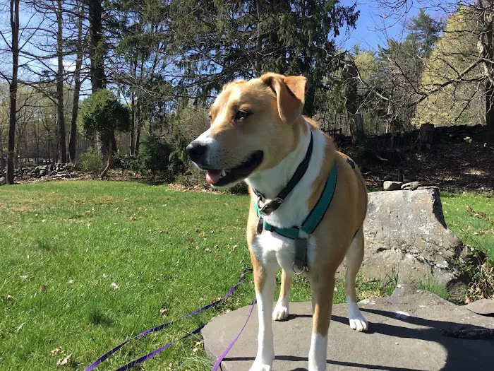 Hurley Veterinary Hospital Picture 10