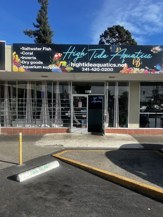 High Tide Aquatics Picture 3