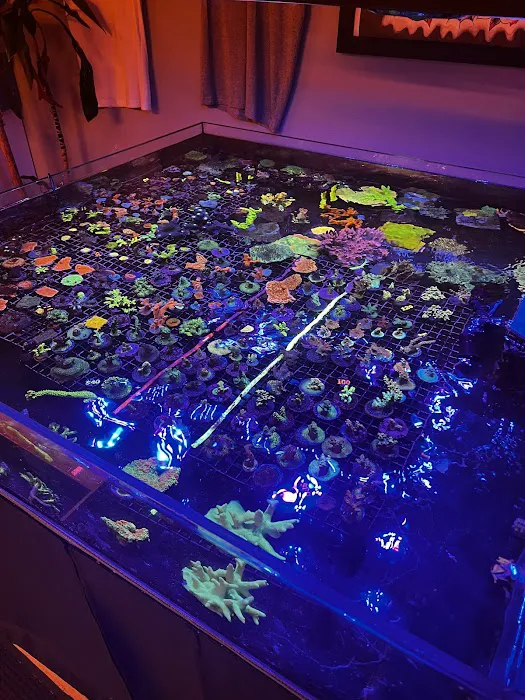 High Tide Aquatics Picture 6