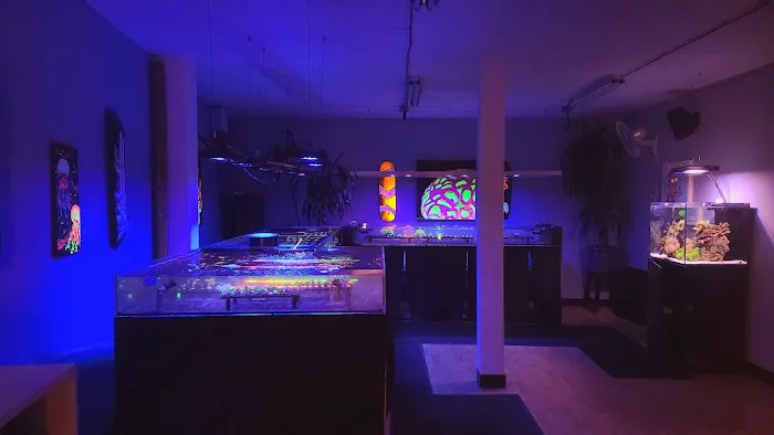 High Tide Aquatics Picture 8