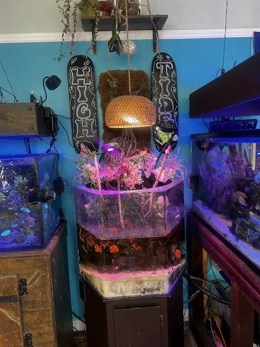 High Tide Aquatics Picture 9