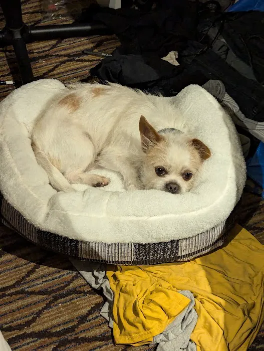 Unleashed by Petco Picture 2