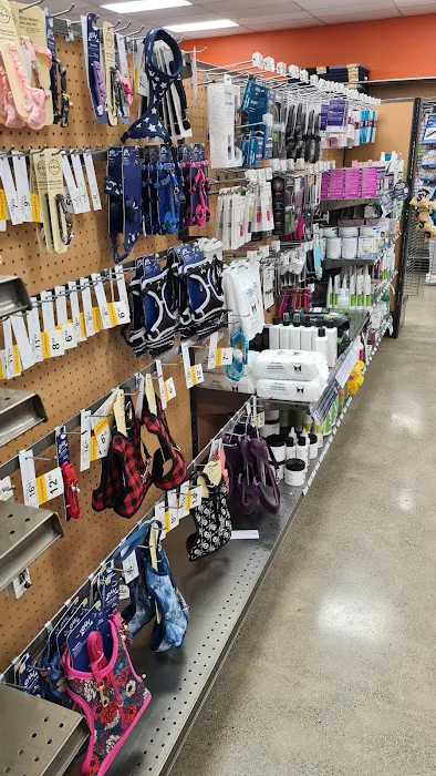 Unleashed by Petco Picture 4