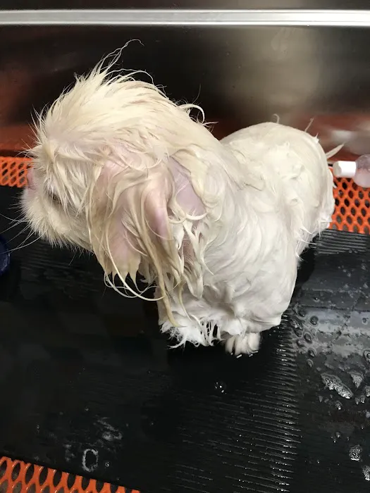 Unleashed by Petco Picture 9