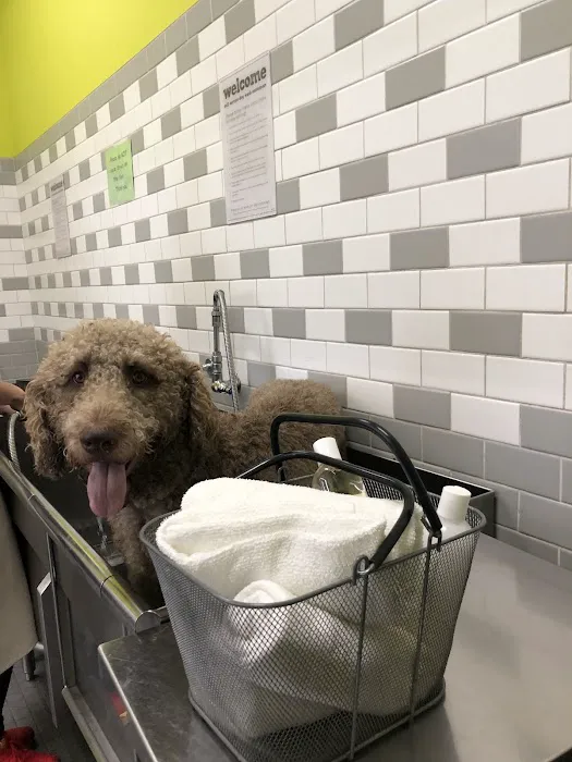 Unleashed by Petco Picture 2