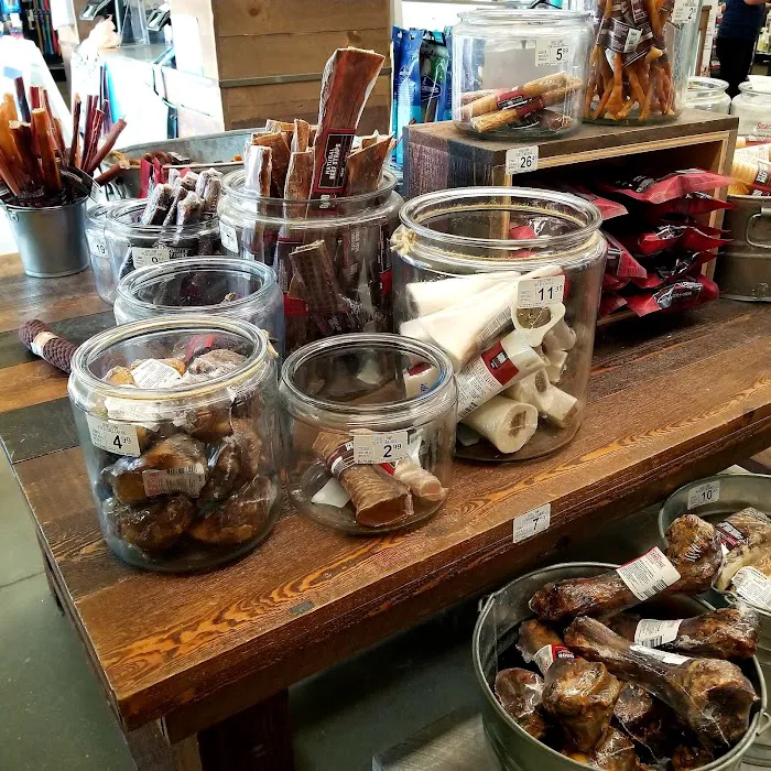 Unleashed by Petco Picture 8