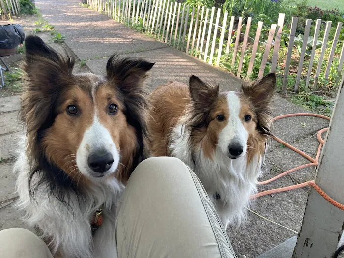 Kingston Animal Hospital Picture 8