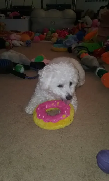 Dr. Arnold Rugg Picture 2