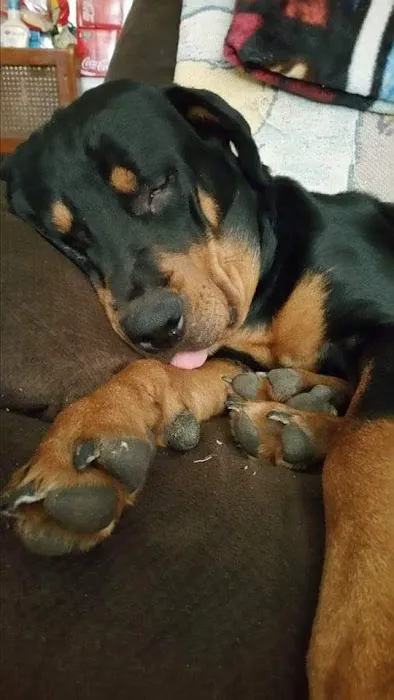 Dr. Arnold Rugg Picture 1