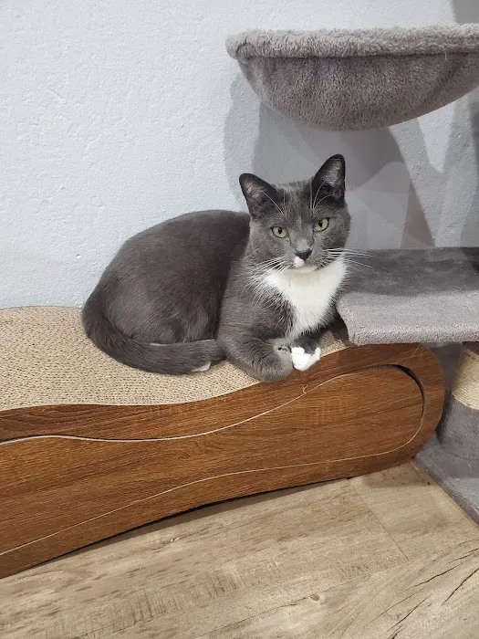 Petvet Petfood Picture 4