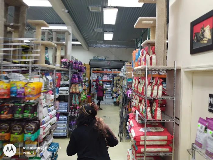 Petvet Petfood Picture 6