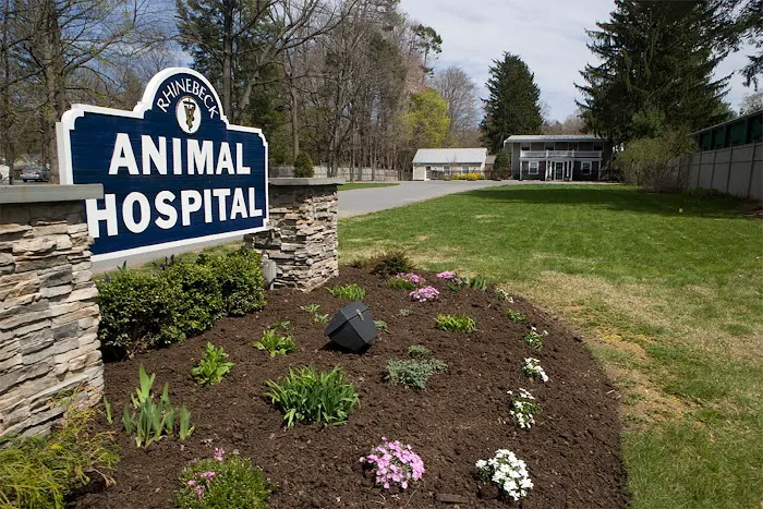 Rhinebeck Animal Hospital Picture 3