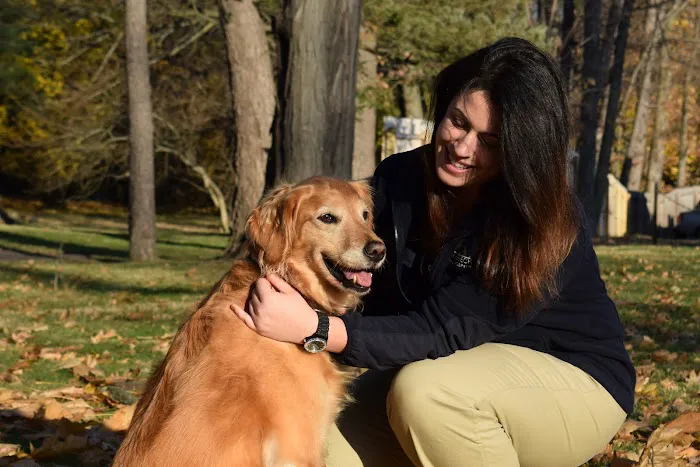 Rhinebeck Animal Hospital Picture 1