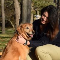 Rhinebeck Animal Hospital ico